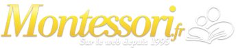 Académie Tout Montessori en France
