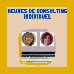 Heures de consulting individuel